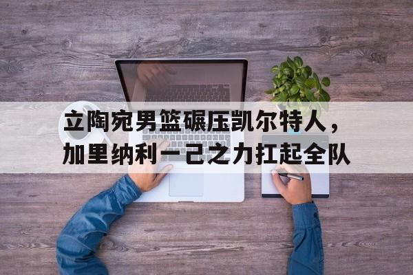 开云体育APP下载-立陶宛男篮碾压凯尔特人,加里纳利一己之力扛起全队的简单介绍