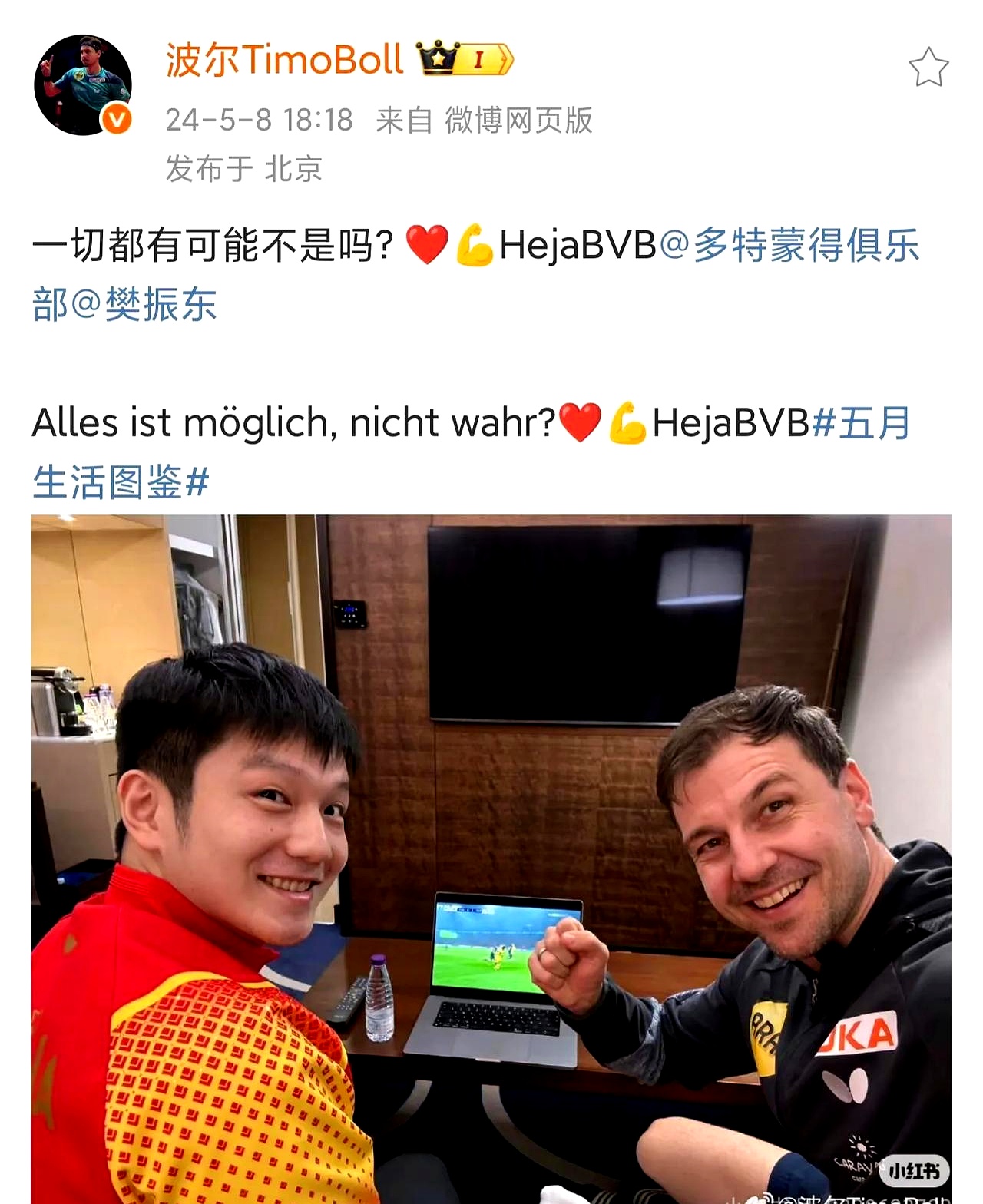 中国乒乓球队翻盘德国乒乓球队,波尔完成帽子戏法的简单介绍 中国乒乓球队翻盘德国乒乓球队,波尔完成帽子戏法的简单介绍