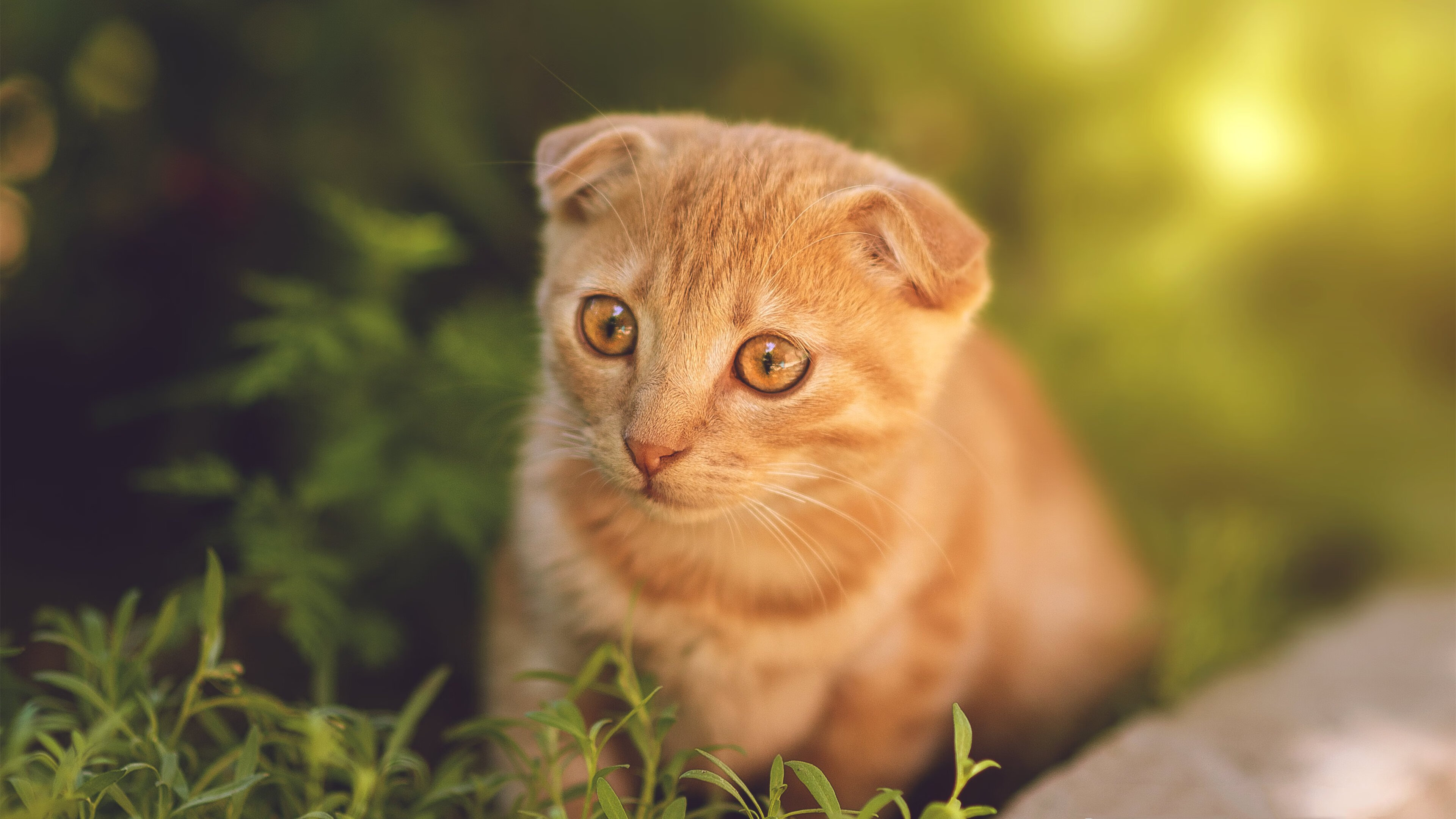 末节风暴与王者之巅，AC米兰友谊赛险胜尼日利亚，卡塞米罗世界排名战主宰乾坤