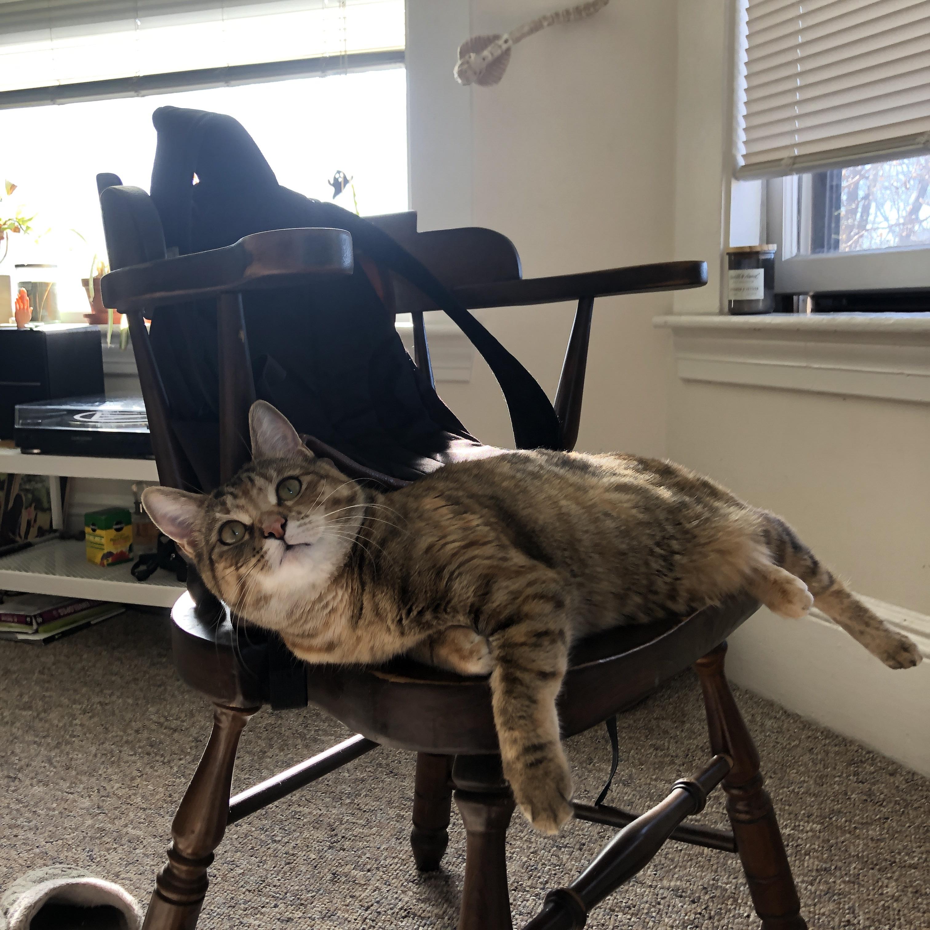 夜的独舞,范弗利特那一记射穿历史的弧线