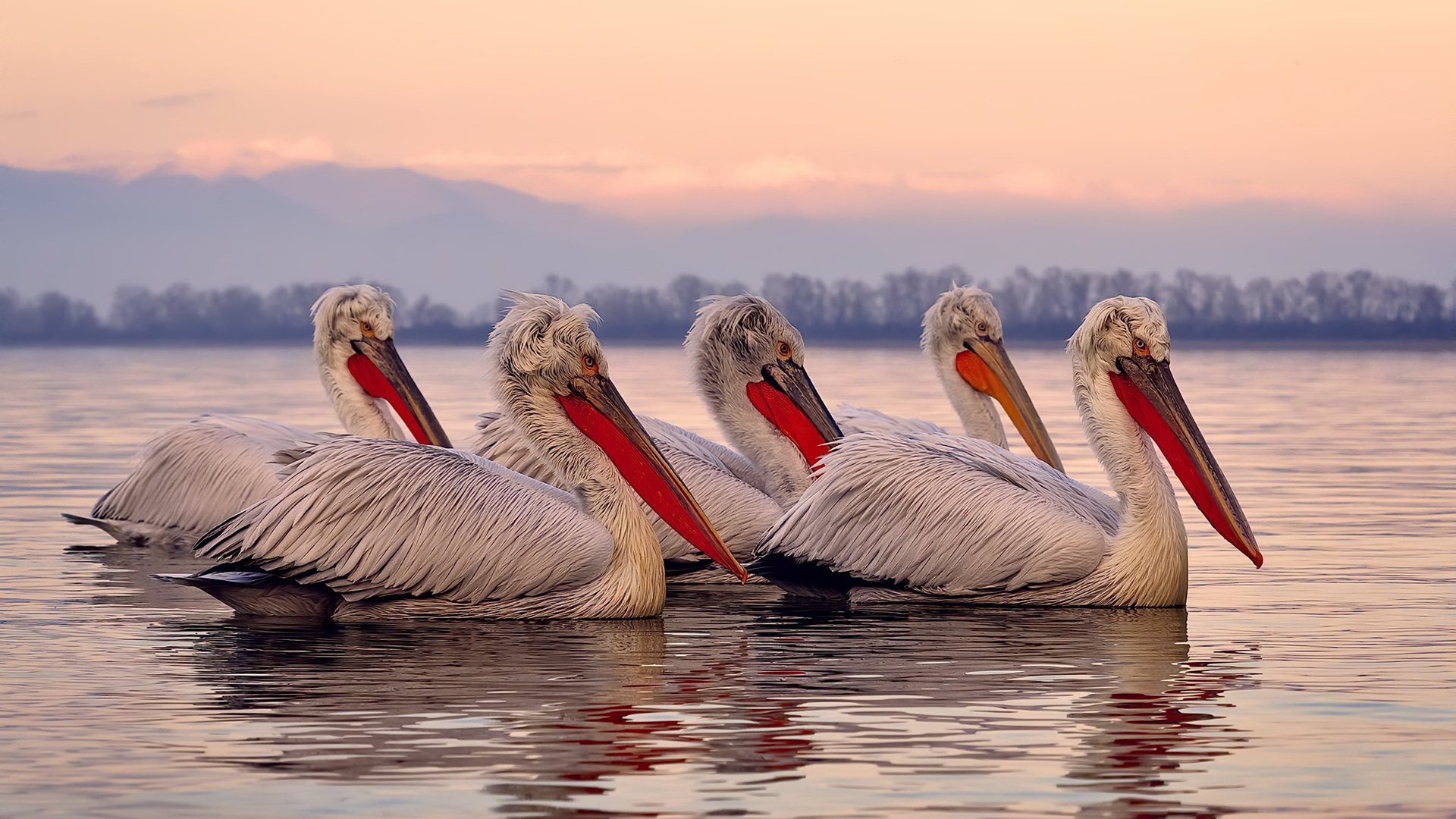 赛道与赛场，当F1的弯道划过哈登的后撤步