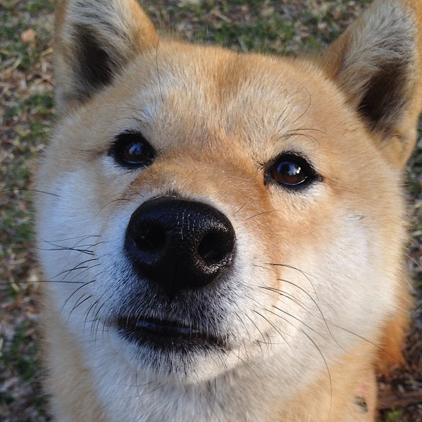 唯一性存档2018年3月10日，詹姆斯的三重奏，奇才稳如磐石的魔术破解法