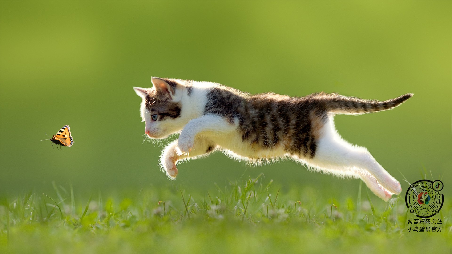 末节死神！莫兰特冰封老鹰助爵士关键战突围